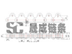带顶滚轮双节距输送链